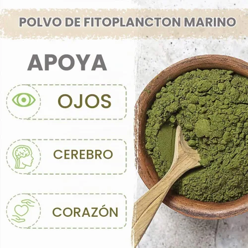 Vista 5 de AKI Marine Phytoplancton Powder - Omega3, vitamina B, clorofila 2oz/57g Fuente de nanocloropsis de microalgas crudas omega-3 EPA, proteínas a base