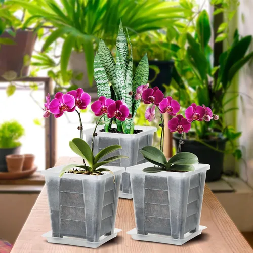 Vista 7 de Maceta cuadrada para orquídeas para interiores, maceta transparente