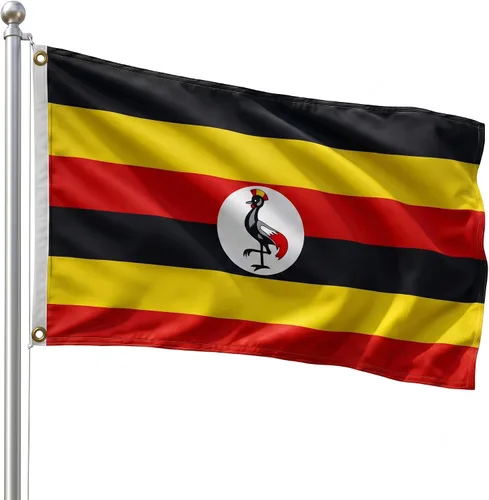 Vista 151 de DMSE - Bandera nacional beninesa beninesa de la República de África Occidental, 2 x 3 pies, 100 % poliéster, 100 % poliéster, resistente a los rayos