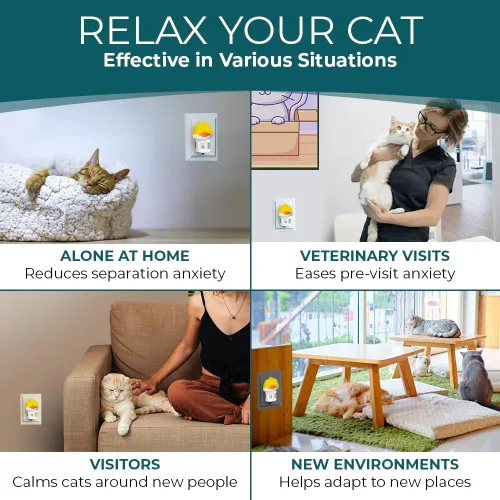 Vista 6 de Difusor calmante para gatos para aliviar el estrés - Spray disuasorio natural para gatos para reducir el estrés, la pulverización