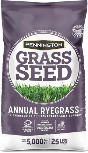 Vista 14 de Pennington Semilla anual de pasto de Ryegrass 10 lb