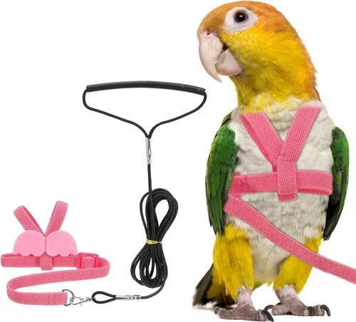 Vista 8 de Correa de arnés para pájaros, arnés ajustable para pájaros y loros para mascotas, ligera, antimordeduras, cuerda de entrenamiento de vuelo con linda