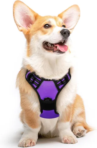 Vista 69 de Eagloo Arnés para perro pequeño, sin tirones, chaleco de servicio con tiras reflectantes y asa de control, ajustable y cómodo para caminar, arnés