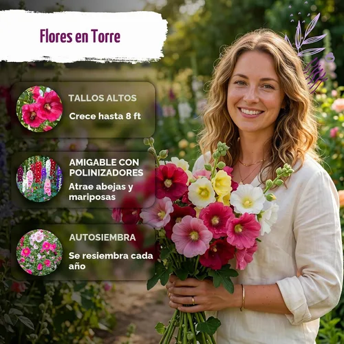 Vista 4 de 150 semillas de flores tradicionales de Hollyhock para plantar, Alcea Rosea