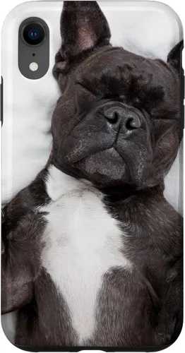 Vista 25 de Carcasa gráfica de Bulldog Francés para iPhone 17