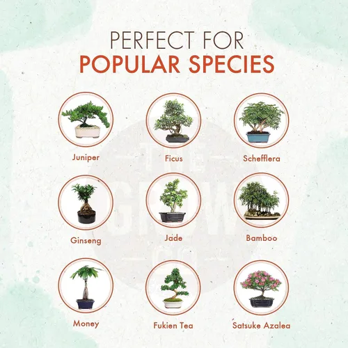 Vista 2 de Fertilizante para bonsái, pellets suaves de liberación lenta para plantas, ideal para todas las plantas de árboles bonsái de interior y exterior