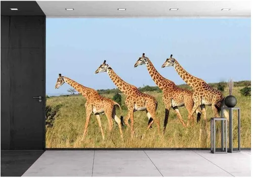 Vista 13 de wall26. Papel para empapelar autoadhesivo, grande, serie de mural., WMR-WP-X-C411-66x24x4