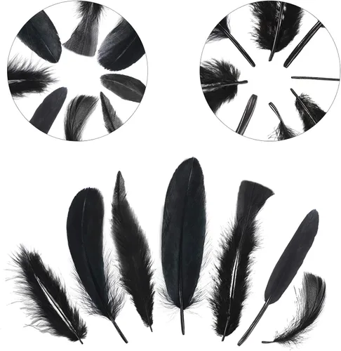 Vista 5 de MARFOREVER 320 plumas negras de Halloween a granel 8 estilos de plumas Negro