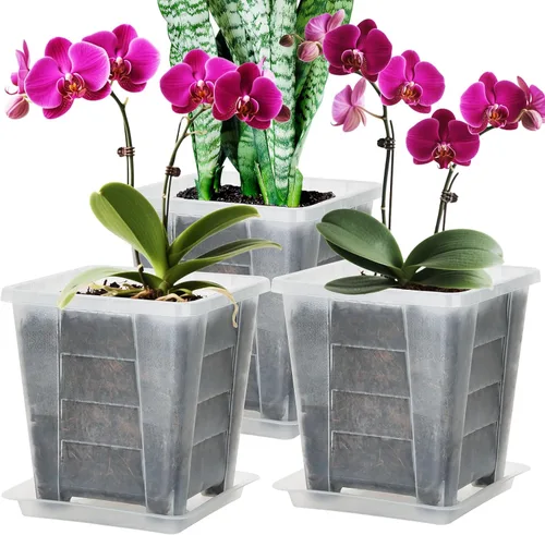 Vista 9 de Maceta cuadrada para orquídeas para interiores, maceta transparente