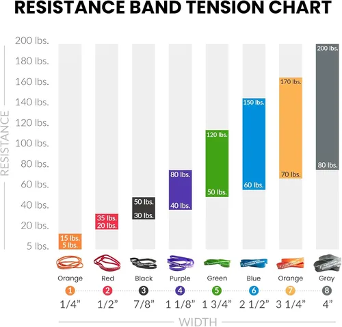 Vista 7 de Juego de bandas de asistencia para dominadas por Functional Fitness. Banda de entrenamiento de resistencia y asistencia de alta resistencia