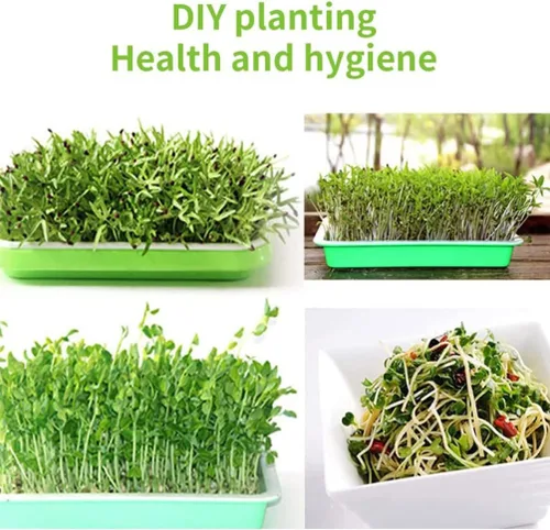 Vista 3 de Bandejas Plantas 200pcs Almohadillas de cultivo hidropónico Bandejas de inicio de papel Germinación brotes de jardín Propagador Set para cultivo sin
