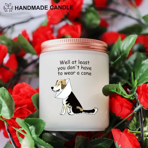 Vista 4 de Regalos para mujeres y hombres, regalos divertidos para recuperación después de la cirugía, regalos de aliento para amantes de los perros, mamá