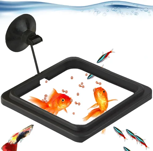 Vista 2 de SunGrow Anillo de alimentación de alimentos para peces, evita que las turbulencias del agua laven alimentos y plantas flotantes en el filtro