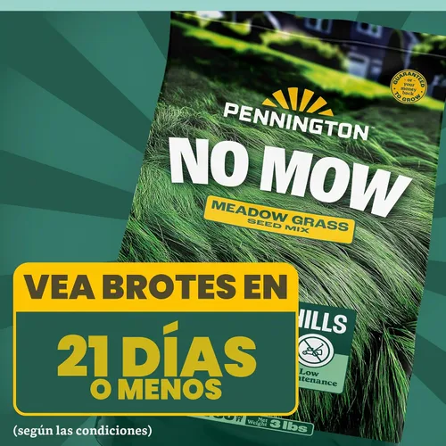 Vista 5 de Pennington Mezcla sin cortar, semillas de hierba de festuca, semillas
