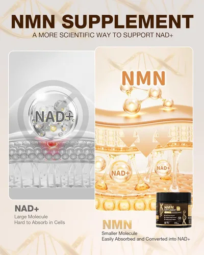 Vista 2 de Suplemento NMN, 4 en 1 NMN 1000 mg con resveratrol, TMG y quercetina, apoya la energía celular y el nivel de NAD+, alternativa NMNH y precursor
