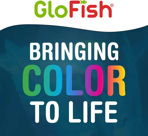 Vista 9 de GloFish Grava para acuario, grava para pecera, negra con detalles fluorescentes, complementa GloFish Tanks, bolsa de 5 libras Negro con reflejos