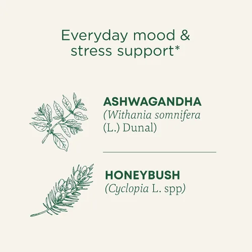 Vista 3 de Traditional Medicinals Orgánico, Stress Ease Calm con Adaptógenos, Ashwagandha y Honeybush - Promueve la Relajación - Kosher, Sin OGM, Sin Cafeína