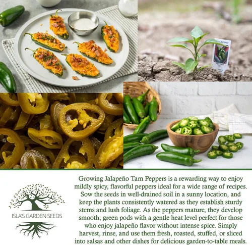 Vista 6 de Semillas de pimientos picantes Jalapeño Tam para plantar, más de 50 semillas tradicionales por paquete, semillas de jardín de Isla