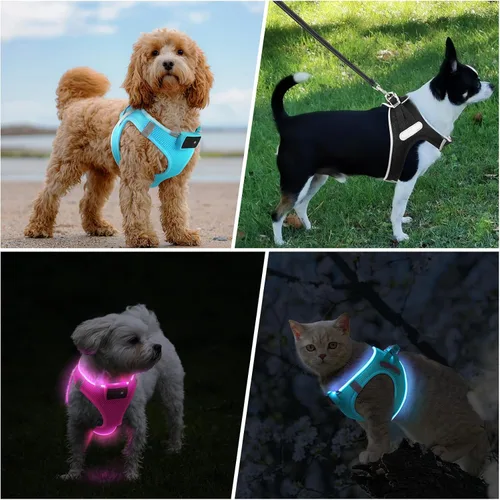 Vista 6 de PceoTllar Arnés para perro con luz LED, reflectante sin tirones, luz intermitente para caminar por la noche, talla S/M, (azul XS)