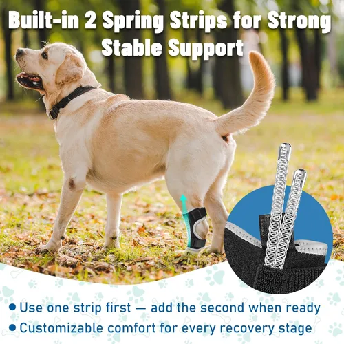 Vista 4 de Soportes para patas de perro para patas traseras y delanteras, soporte articular de perro y tobillo para patas traseras débiles con 2 tiras