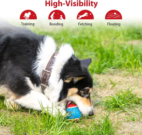 Vista 7 de Gigwi Pelota de tenis chirriante para perros, pelota interactiva para perros pequeños y medianos, juguete de goma colorido y de rebote alto de 2.5