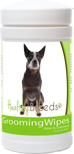 Vista 8 de Healthy Breeds Toallitas multiusos para aseo y desodorización para perros Affenpinscher – Más de 200 razas – Limpia las almohadillas para las patas