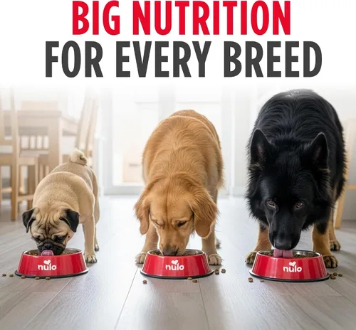 Vista 5 de Nulo Frontrunner Ancient Grains - Alimento para perros con alto contenido de proteínas, receta de cerdo, cebada y carne de res - Alimento seco