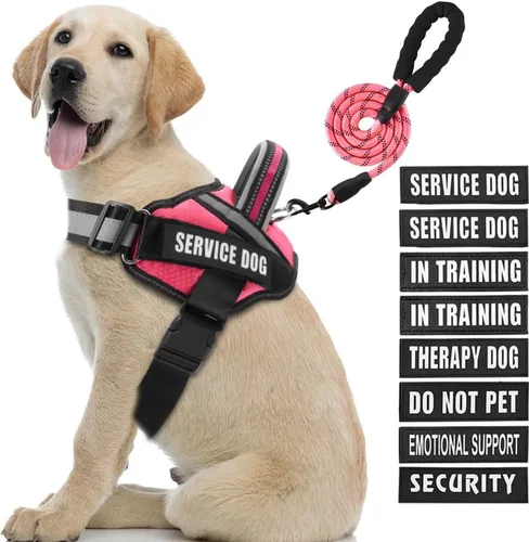 Vista 13 de Juego de Chaleco y Correa para Perro de Servicio, Arnés de Entrenamiento Animire para Perro con 10 Parches para Perros, Correa Reflectante