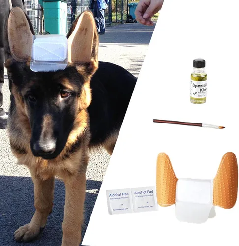 Vista 3 de MagiDeal 1 juego de calcomanías para orejas de cachorro, corrector de oído, kit de herramientas para el cuidado de los oídos, soporte para orejas