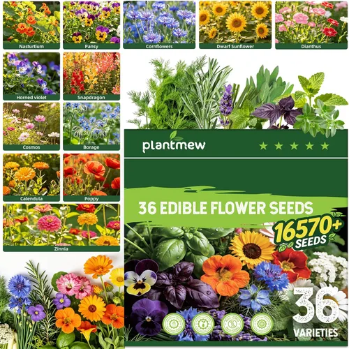 Vista 12 de 35 Medicinal & Tea Herb Seeds Variety Pack for Indoor & Outdoors