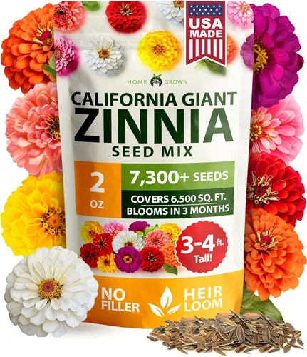 Vista 34 de HOME GROWN Semillas de zinnia rosa – 300 zinnias Luminosa 0.5g, semillas anuales de flores fáciles de cultivar para plantar al aire libre para 2026
