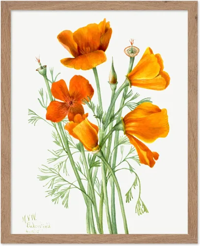 Vista 31 de Poster Master Póster vintage Overbeck – Impresión de acuarela retro – Regalo para artistas, amigos, girasoles, hermoso, botánico, planta