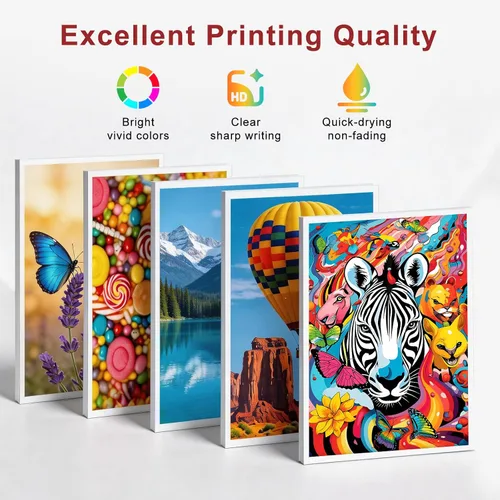 Vista 4 de SAILNER 245XL Cartucho de tinta de repuesto para Canon 245XL 246XL Combo Pack PG-245XL CL-246XL Alto rendimiento para Pixma TR4520 TR4527 MG2522