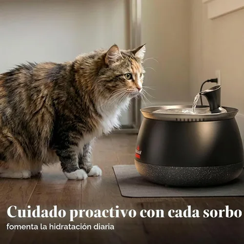Vista 8 de BISSELL HydrateWell - Fuente de agua para gatos, 91 onzas, 4408