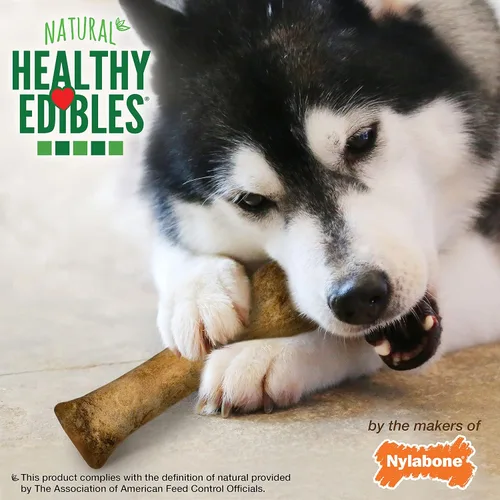 Vista 7 de Nylabone Healthy Edibles Masticables Naturales para Perros de Larga Duración con Sabor a Tocino para Perros, X-Large/Souper (1 unidad)