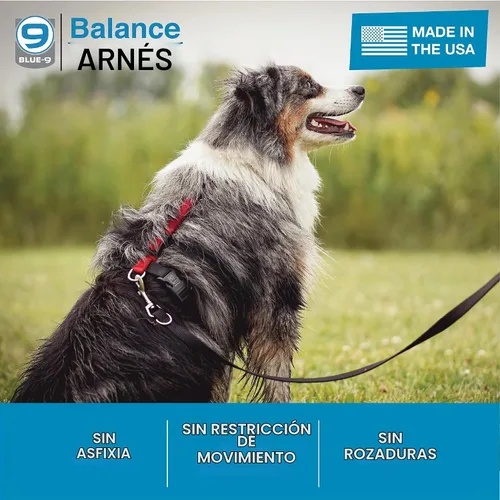 Vista 3 de Arnés Blue-9 con Hebilla para Cuello, Ajuste Completamente Personalizable, Arnés Antijalón, Ideal para Entrenamiento y Obediencia de Perros Azul