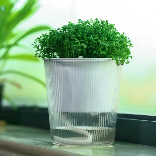 Vista 3 de Pack de 6 Macetas de 11.4 cm de Riego Automático y Transparentes para Plantas de Interior, Macetas de Plástico con Mecha para Orquídeas Medianas