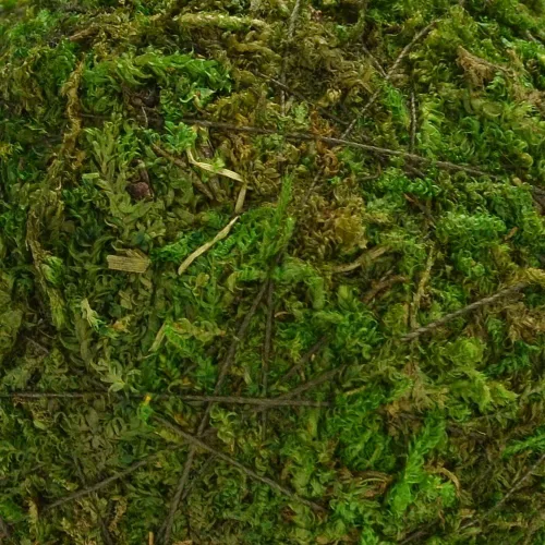 Vista 6 de Byher - Bola decorativa de musgo verde natural, hecha a mano