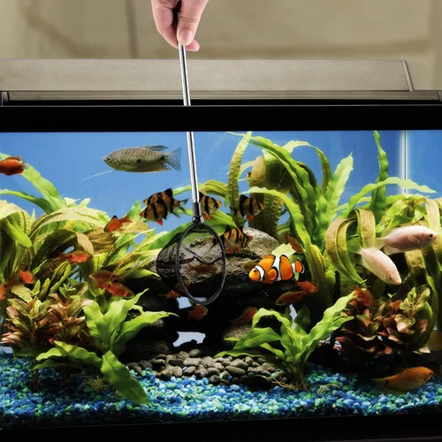Vista 5 de Lpraer Red de peces de acuario con malla fina extensible de acero inoxidable de mango largo para pecera