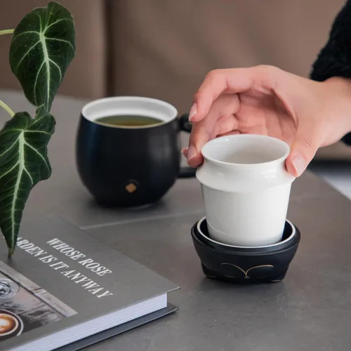 Vista 9 de HEER Taza de té para gatos con infusor y tapa, taza de té de cerámica de hojas sueltas de 10 onzas, regalo para amantes de los gatos para amigos