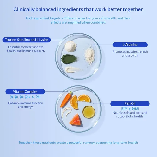 Vista 4 de Daily Support Multivitamínico para gatos, polvo de 4 onzas, L-lisina, taurina y espirulina para apoyo inmunológico y salud ocular, aceite de pescado