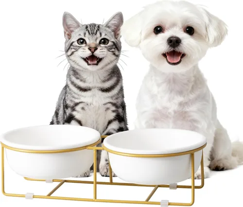 Vista 12 de Cuenco elevado de vidrio pequeño inclinado para gatos y perros, plato elevado para comida para gatos, plato de agua para mascotas, cuencos