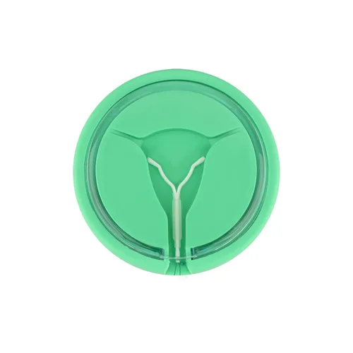 Vista 5 de Modelo de entrenamiento del DIU, entrenador intrauterino femenino del simulador del dispositivo anticonceptivo