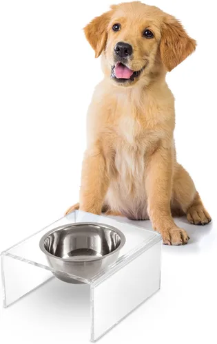 Vista 18 de DBL2000B Keaton - Comedero rectangular elevado moderno de lucita para mascotas de 5 pulgadas, tamaño pequeño/mediano, con 2 cuencos de acero