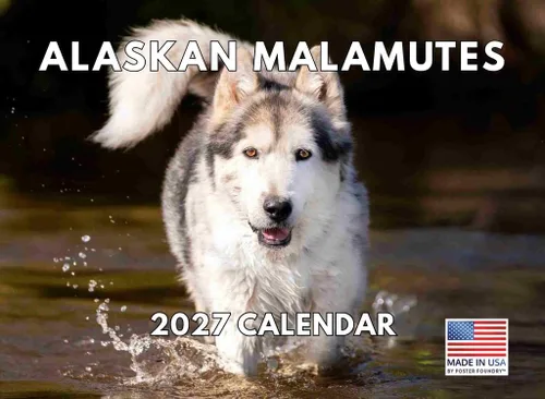 Vista 73 de Calendario mensual de pared Airedale Terrier Dog 2027