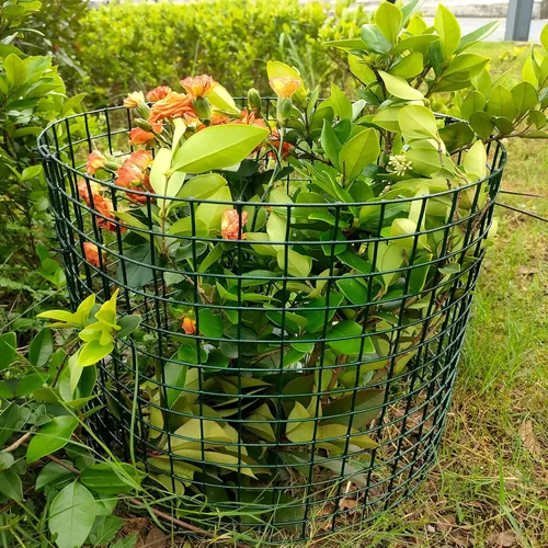 Vista 6 de Jaulas de metal para plantas, paquete de 5 protectores de plantas de animales, jaulas de metal para mantener a los animales fuera, protección
