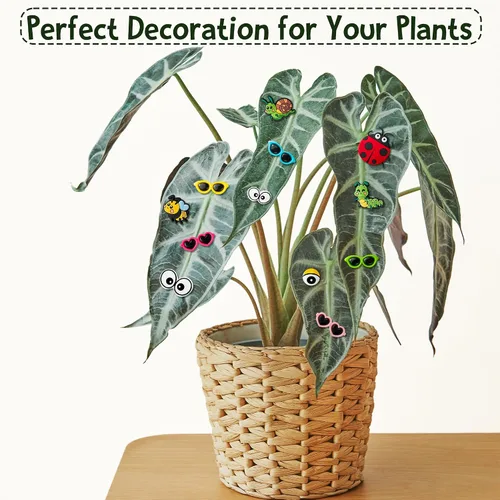 Vista 6 de H1vojoxo 12 bonitos imanes para plantas en maceta, regalos únicos para amantes de las plantas, divertidos accesorios para plantas