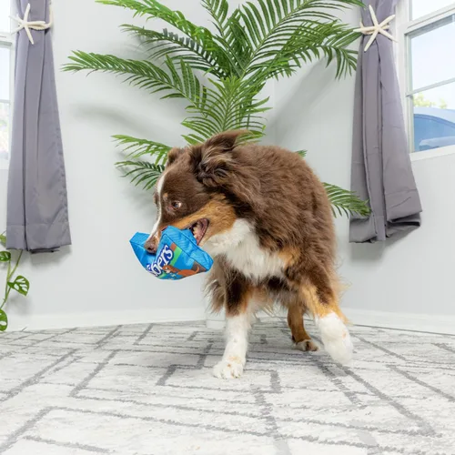 Vista 2 de SPOT by Ethical Products - Caramelos divertidos - Juguetes divertidos para chillidos para perros - Grabbers