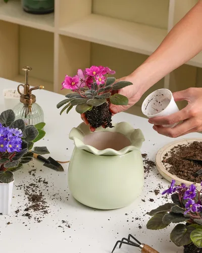 Vista 6 de Fayoula Maceta de riego automático, mantenimiento de macetas de violeta africana de 6 pulgadas, maceta de cerámica con riego automático para plantas