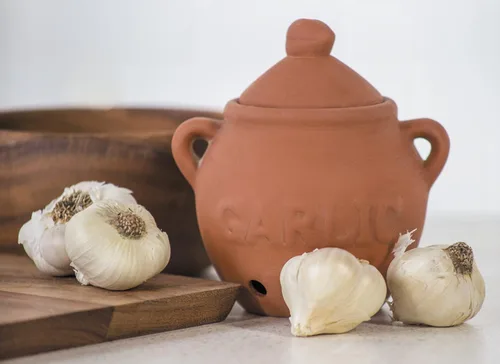 Vista 2 de Fox Run Guarda Ajo, Terracota, Rojo, 4.25 x 5.25 x 5.25 pulgadas For Small & Medium Sized Bulbs Keep Garlic Fresh & Ready to Use Holes for